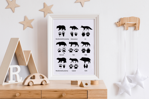 Plakat Tropy, Ślady zwierząt