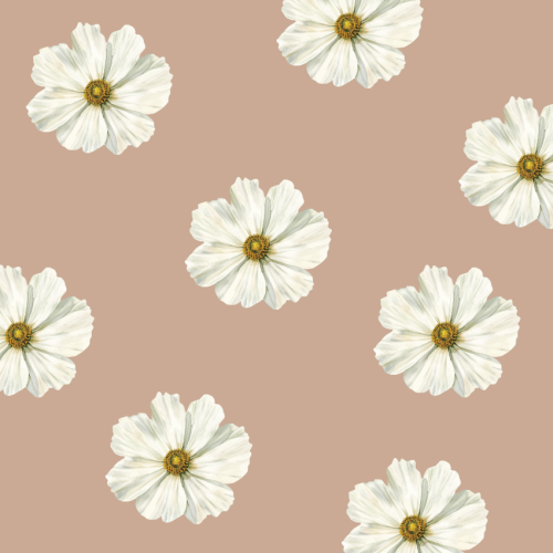 Kwiat-1-min.png