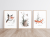 Las_1 (2)-min.png