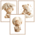 Misie (5).png