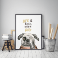 Plakat Pies Mops Life is better dog Wallie Studio Dekoracji